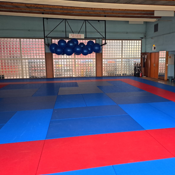 Dojo-3