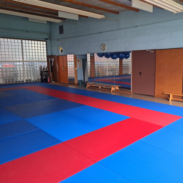 dojo-2
