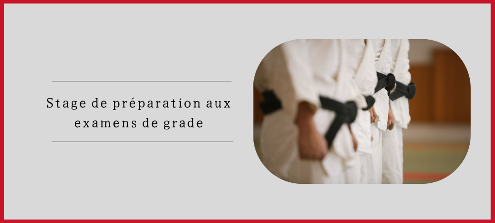 Lire la suite à propos de l’article Stage de préparation aux examens de grade