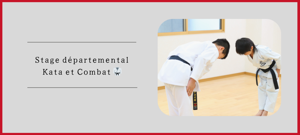 Lire la suite à propos de l’article Stage départemental Kata & Combat